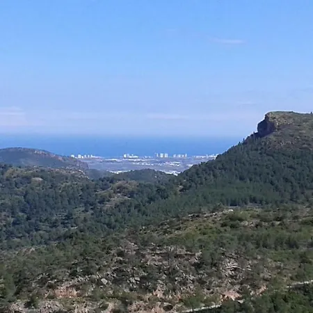 Rosita Estivella